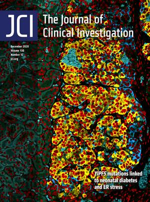 59b553d6a3f7467ab2f35e4c53c250ef.jpg 59b553d6a3f7467ab2f35e4c53c250ef.jpg