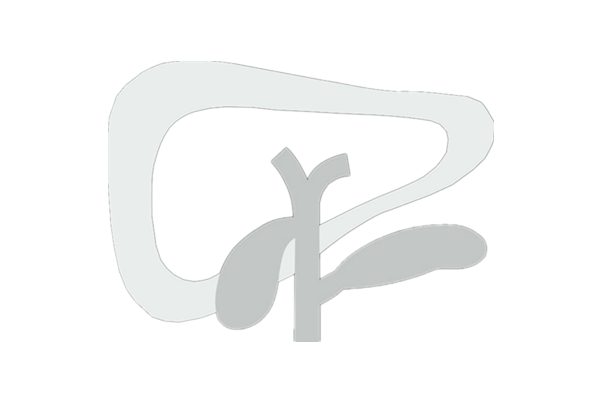 临床肝胆病杂志logo(白色).png 临床肝胆病杂志logo(白色).png